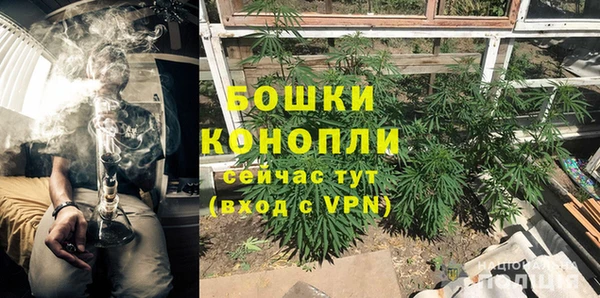 круглые Бронницы