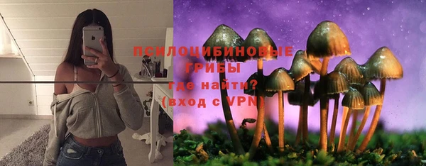 круглые Бронницы