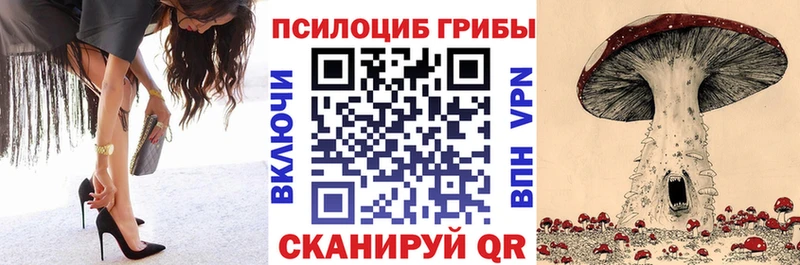 гидра ссылки  Киржач  Псилоцибиновые грибы Magic Shrooms 